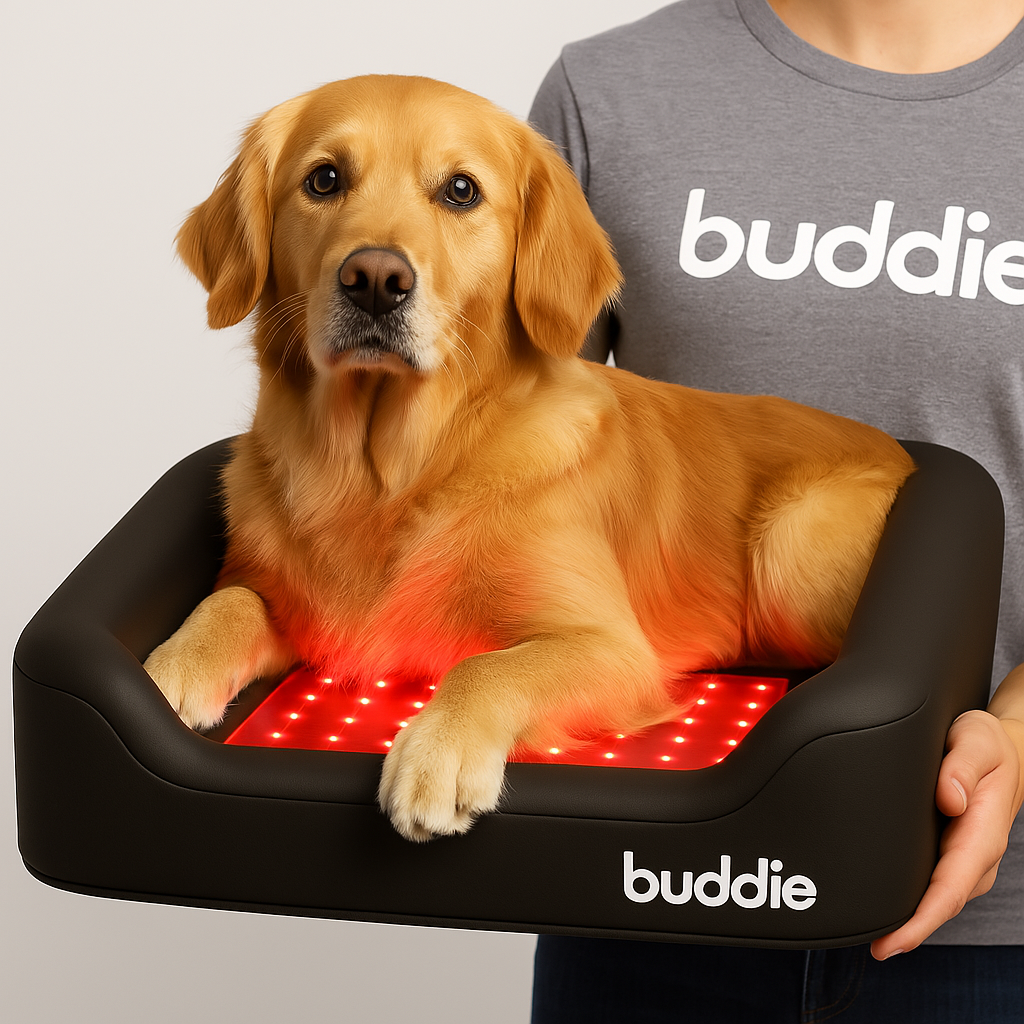 Buddie Red Light + PEMF Bed – The World’s First Healing Bed for Dogs