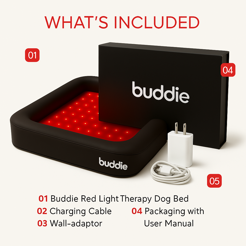 Buddie Red Light + PEMF Bed – The World’s First Healing Bed for Dogs