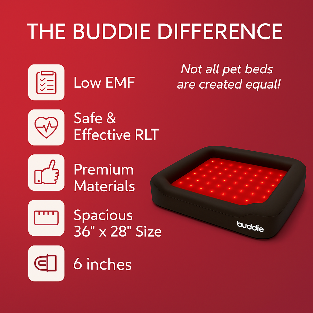 Buddie Red Light + PEMF Bed – The World’s First Healing Bed for Dogs