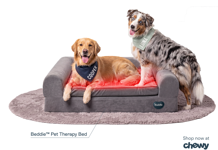 Beddie Pet Therapy Bed