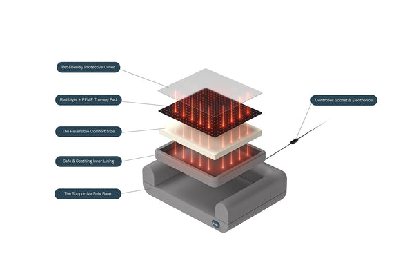 Why Beddie™ Combines Red Light, NIR, and PEMF for Pet Wellness