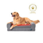 Beddie™ Pet Therapy Bed