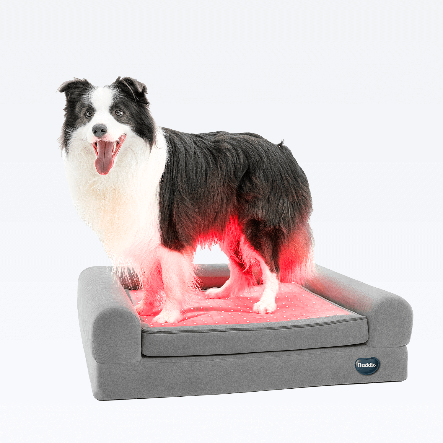 Buddie Pet therapy Happy Pack 3