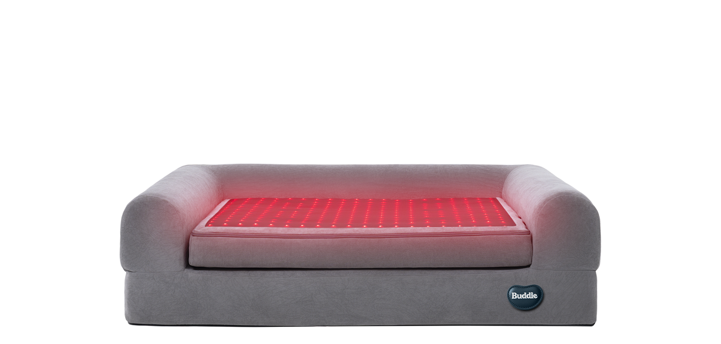 Buddie Pet therapy Science 