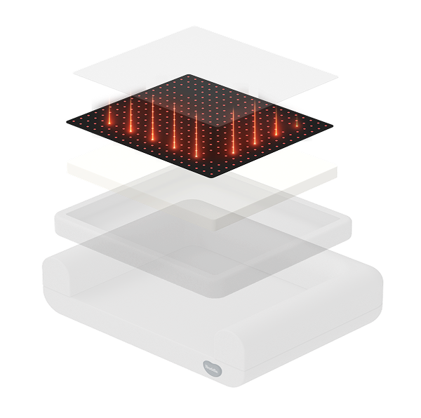 Buddie Pet therapy protective cover