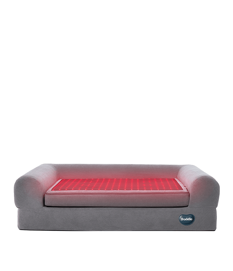 Buddie Pet therapy bed