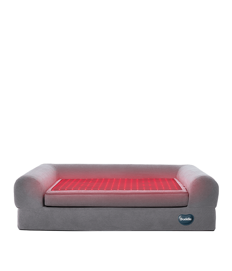 Buddie Pet therapy bed