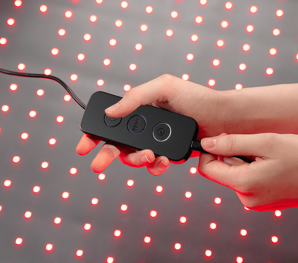 Buddie Pet therapy Reconnect & Store