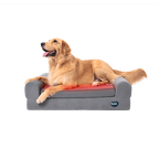 Beddie™ Pet Therapy Bed