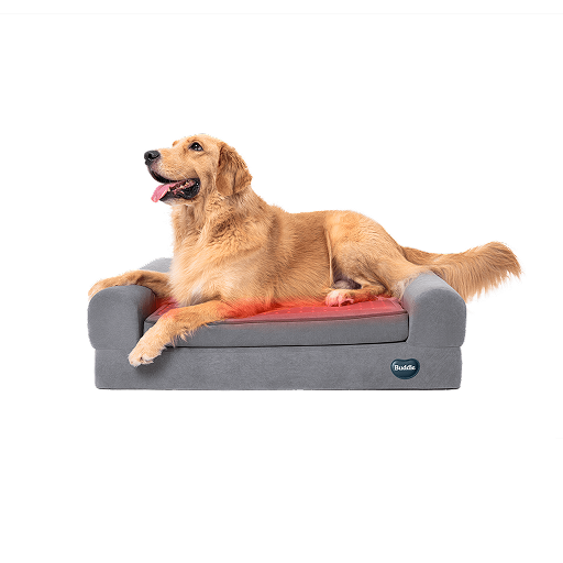 Beddie™ Pet Therapy Bed