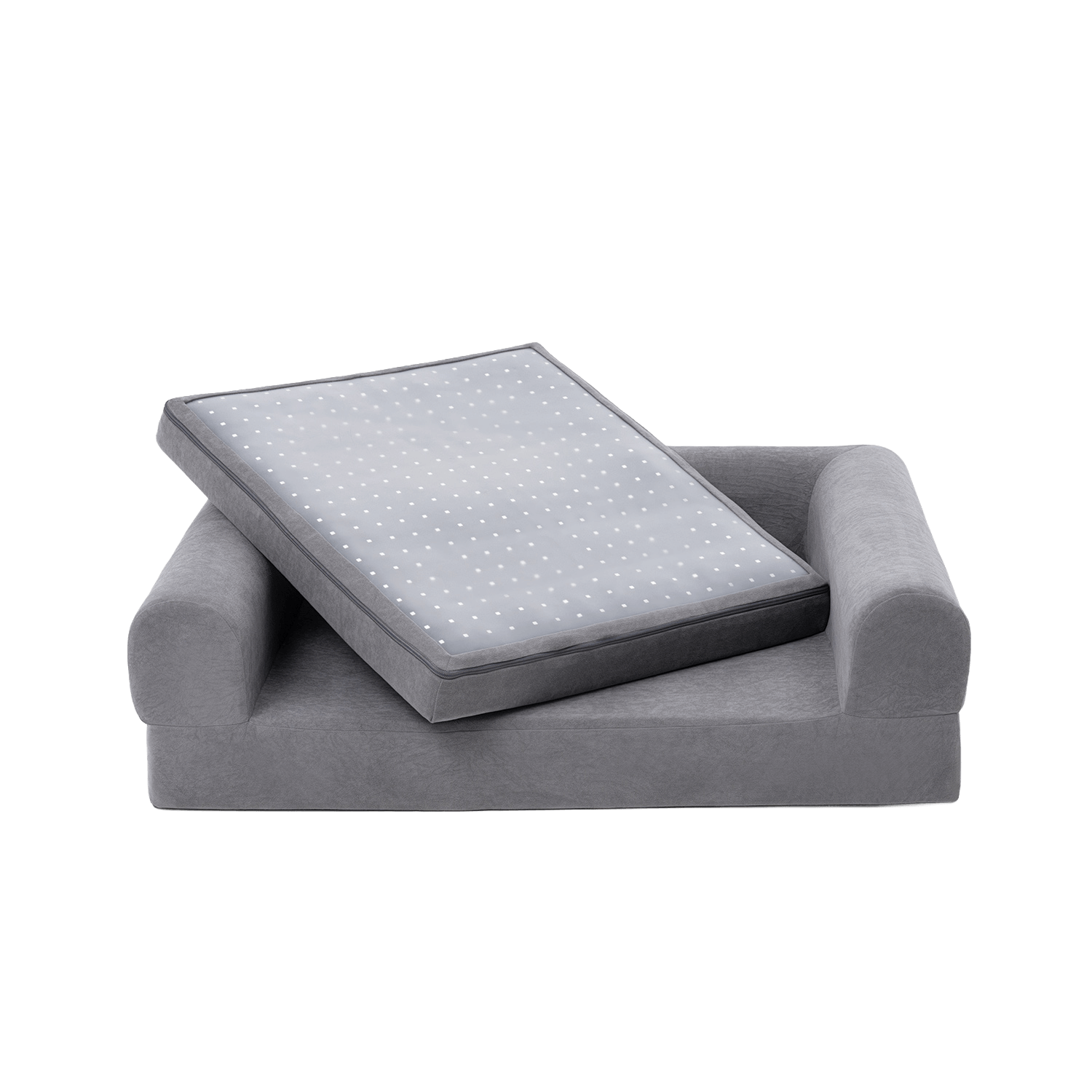 Buddie Pet therapy instructions befor use