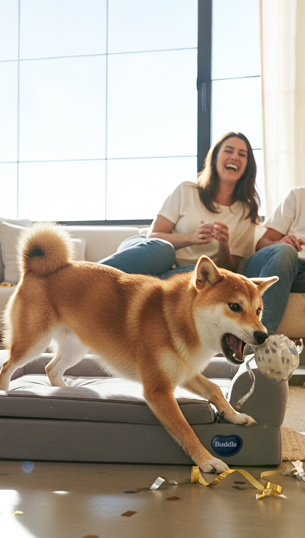 Happy healthy dog playing on Buddie™ Therapy Bed in a bright living room while pet parents relax on the sofa, demonstrating red light and PEMF therapy for dogs to support mobility, relieve winter joint stiffness, reduce dog joint pain and arthritis discomfort, and improve everyday comfort during cold weather