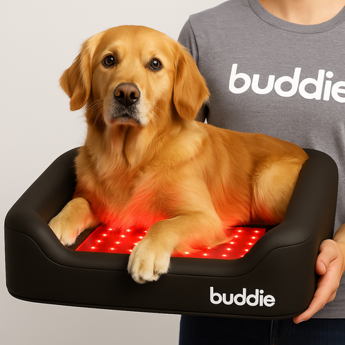 Buddie Red Light + PEMF Bed – The World’s First Healing Bed for Dogs