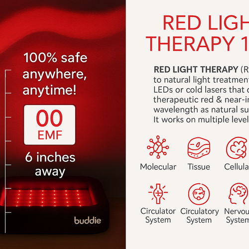 Buddie Red Light + PEMF Bed – The World’s First Healing Bed for Dogs