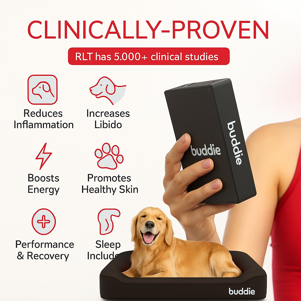 Buddie Red Light + PEMF Bed – The World’s First Healing Bed for Dogs