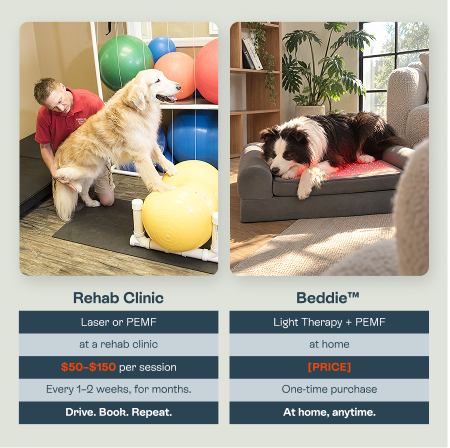 A comparison infographic comparing a rehab clinic setting on the left with home-based buddie light therapy on the right, highlighting cost, convenience, and treatment frequency differences.