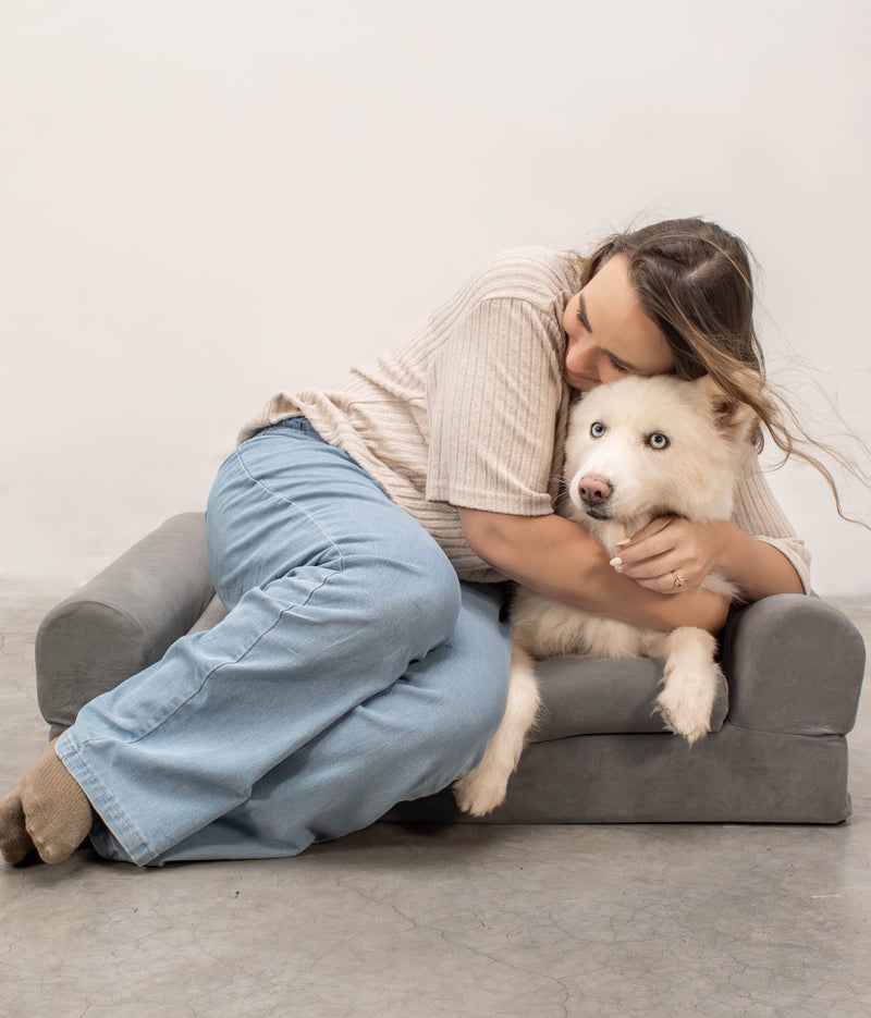 Laws For Paws Vietnam - Image 6