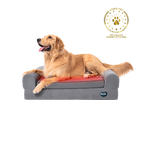 Beddie™ Pet Therapy Bed