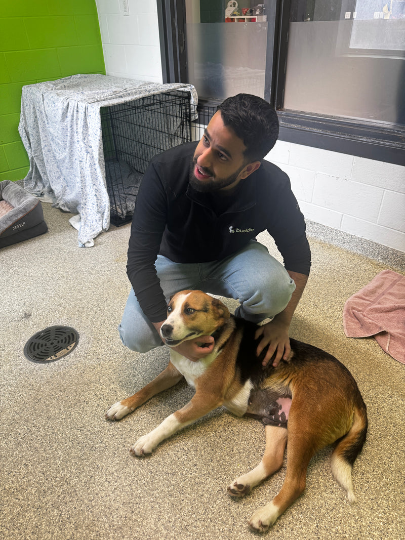 Ontario SPCA York Region Animal Centre - Image 2