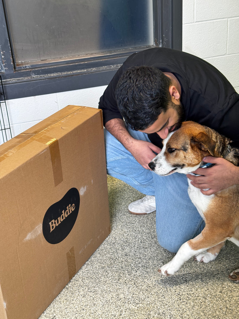 Ontario SPCA York Region Animal Centre - Image 7