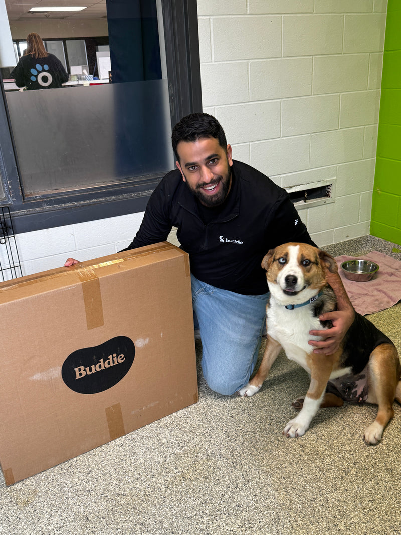 Ontario SPCA York Region Animal Centre - Image 8