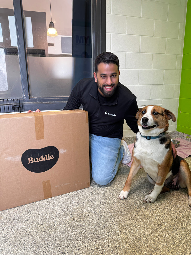 Ontario SPCA York Region Animal Centre - Image 4