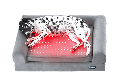 Beddie™ Pet Therapy Bed