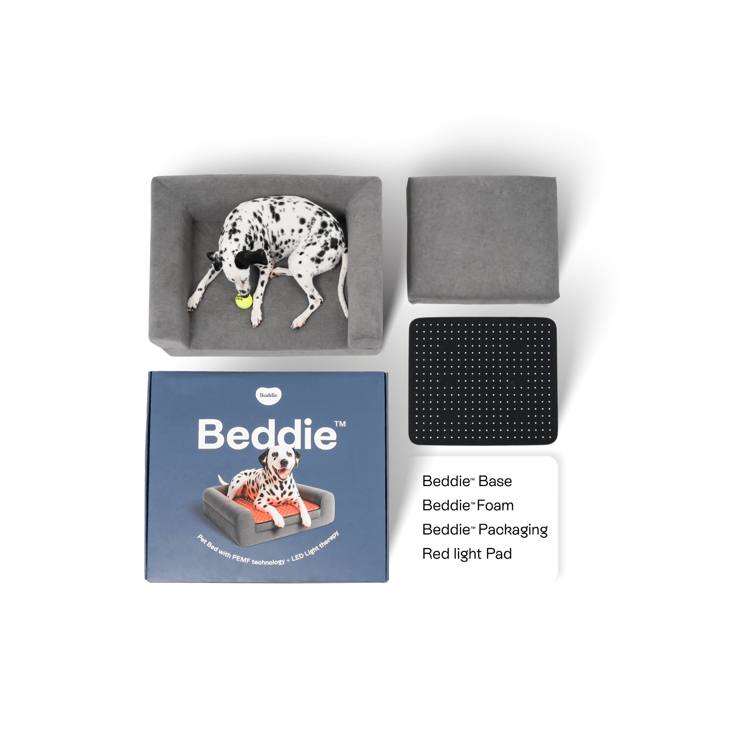 Overhead view of Beddie pet bed components including the base, foam, packaging box, and red light therapy pad with a Dalmatian dog