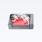 A Dalmatian dog wearing a sleep mask while resting on a Buddie red light therapy pet bed for muscle recovery