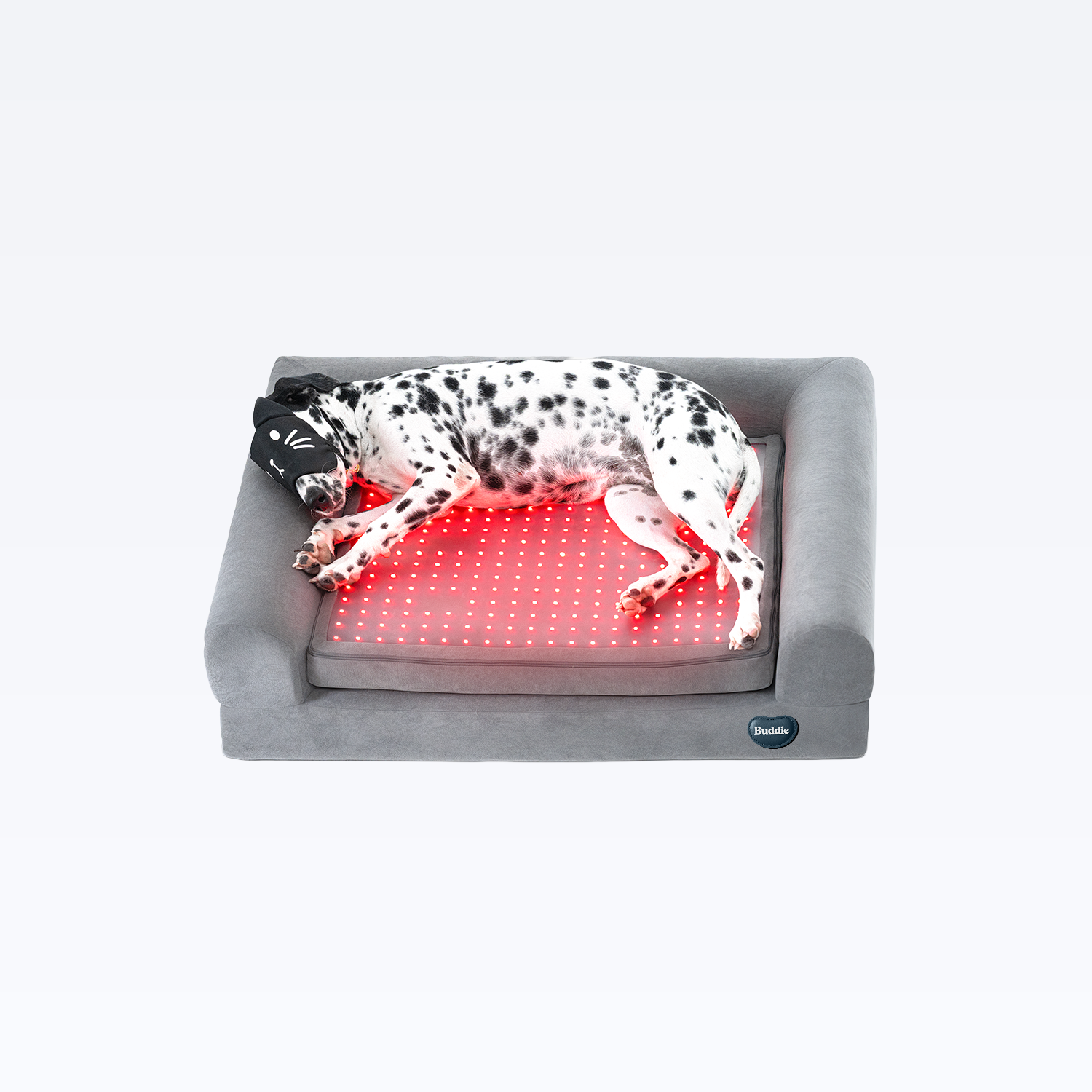 A Dalmatian dog wearing a sleep mask while resting on a Buddie red light therapy pet bed for muscle recovery